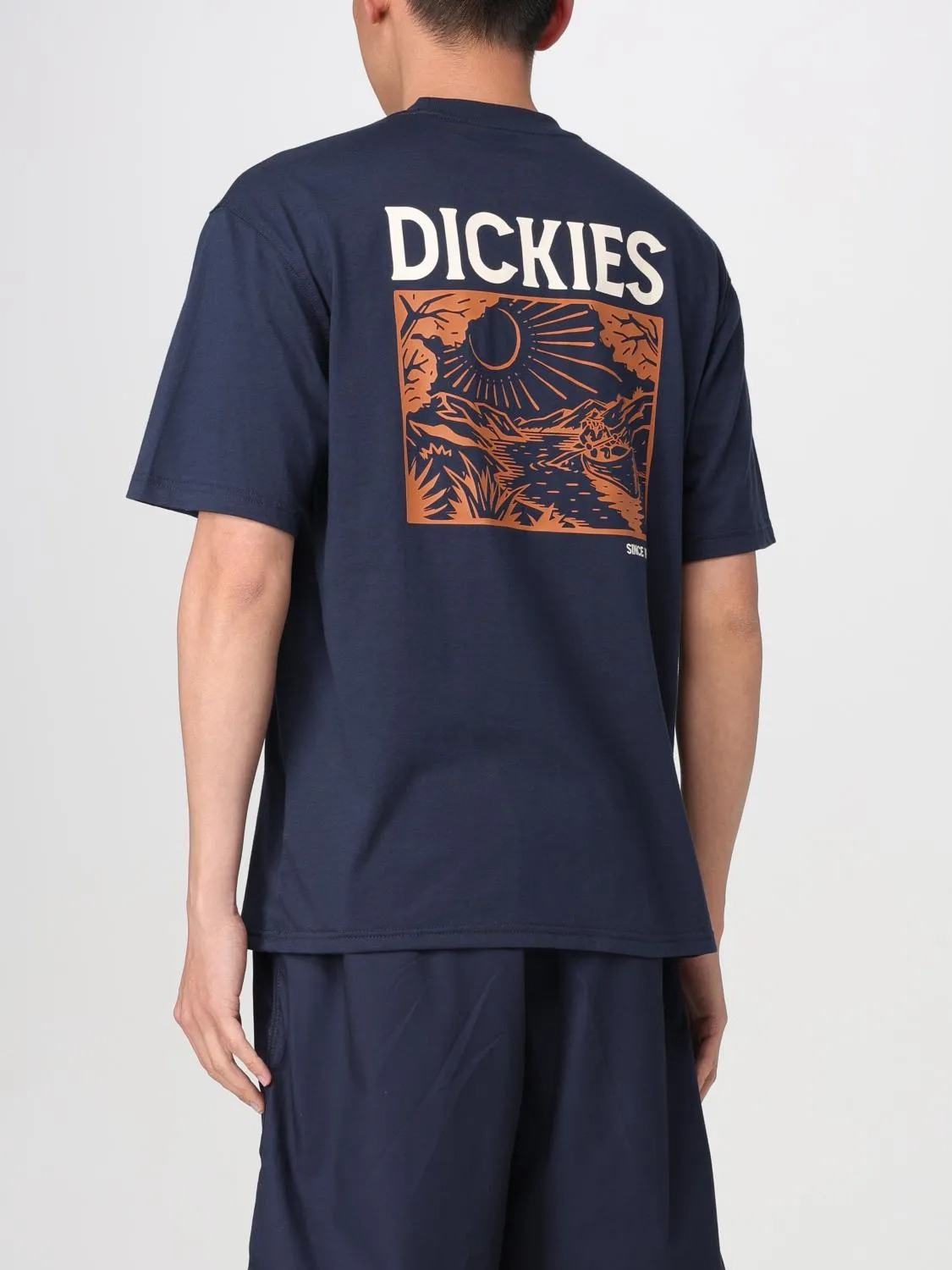 Camiseta hombre Dickies