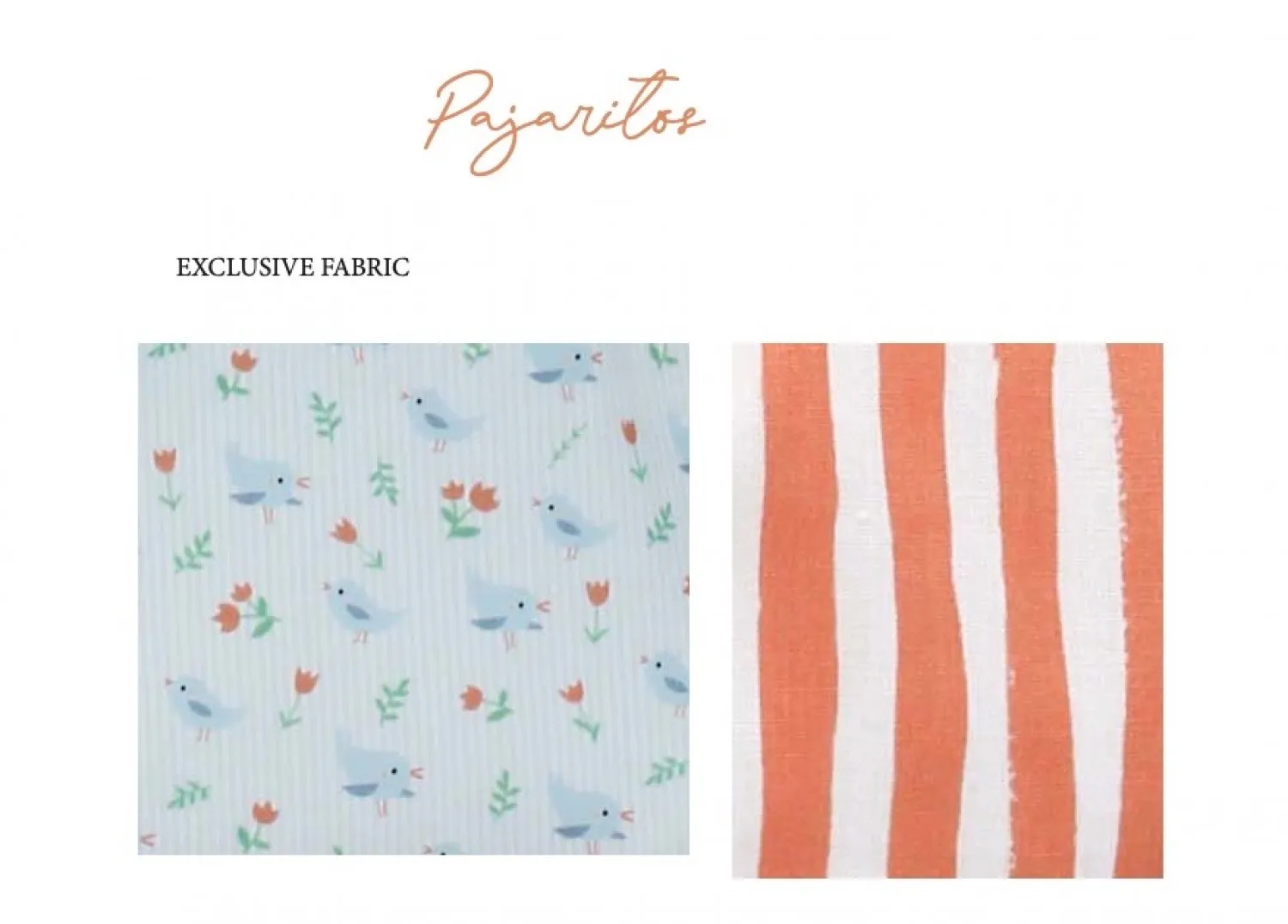 Conjunto para niño Colección pajaritos de Foque