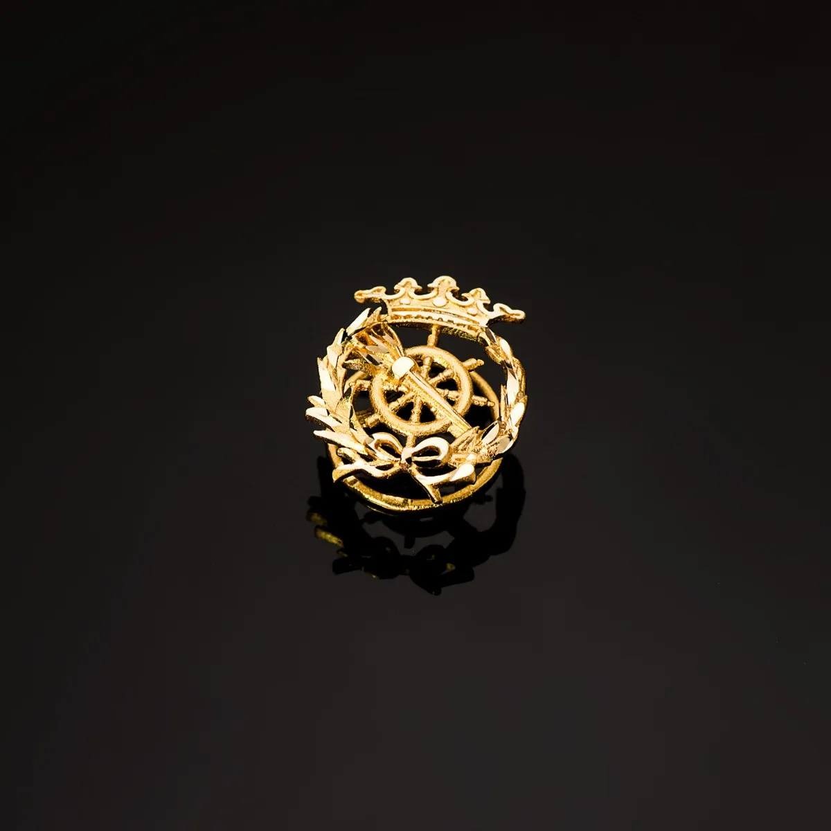 Insignia Oro Profesional Ciencias Políticas