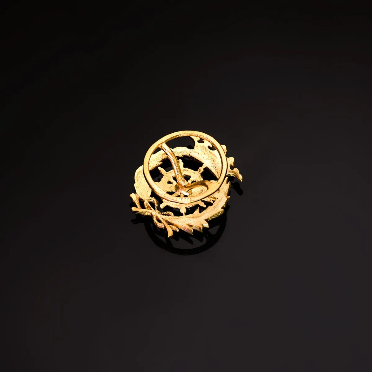 Insignia Oro Profesional Ciencias Políticas