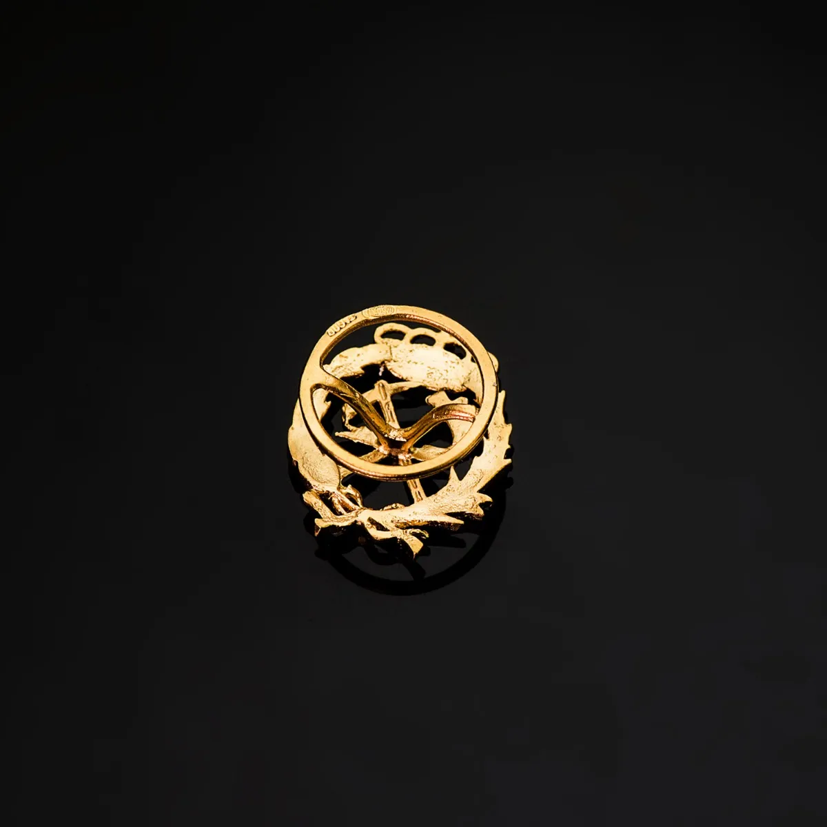 Insignia Oro Profesional Ingeniería de Montes