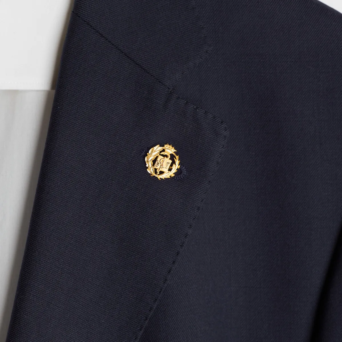 Insignia Oro Profesional Medicina