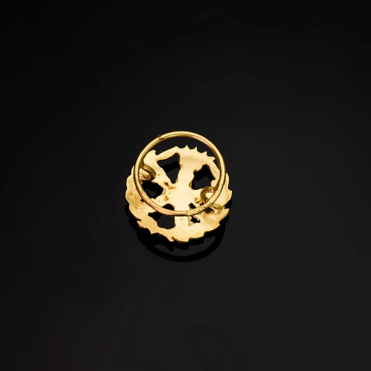 Insignia Profesional Ingeniero Aeronáutico