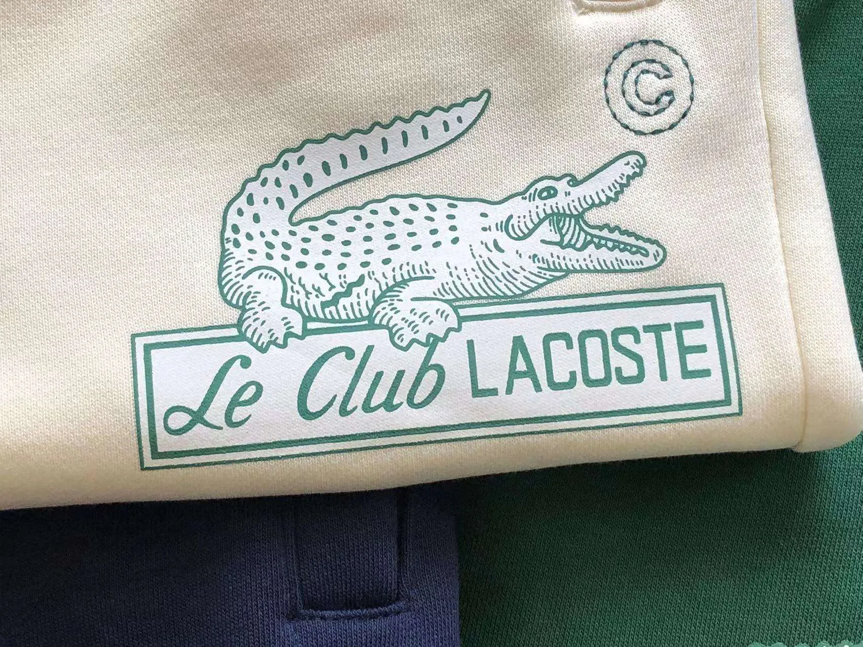 Pantalones Cortos Lacoste
